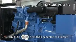 300kw Yuchai Open Type Diesel Genset Supply