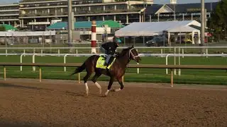 Kentucky Derby 149: Jace's Road