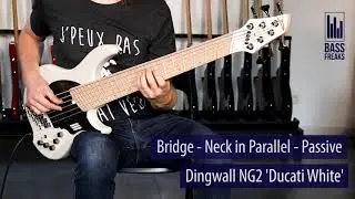 Dingwall NG2-6 Ducati white Live Demo - BassFreaks.net