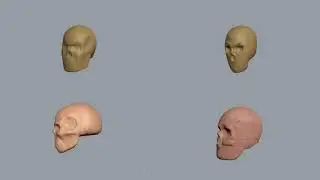 Skull Montage
