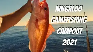 Ningaloo Game Fishing Camp Out 2021 &ndash; Epic Mahi Mahi & Ruby Snapper Catches!