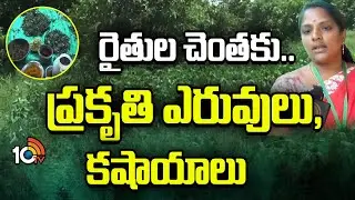 రైతుల చెంతకు.. ప్రకృతి ఎరువులు, కషాయాలు | Natural Fertilizers for Farming | Matti Manishi | 10tv