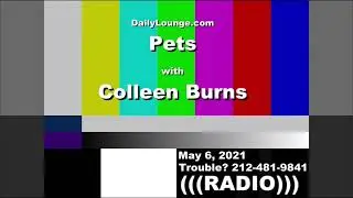 National Pet Month Tips with Colleen Burns - WIZM