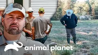 Operações policiais contra a caça ilegal | Patrulheiros da Natureza | Animal Planet Brasil