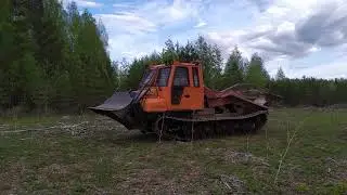 Лесной транспорт (широкий формат)