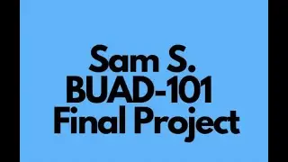 Sam S UB BUAD-101 22 Final Project 4 3