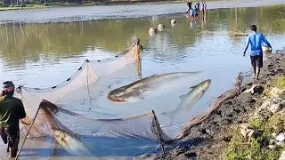 A lot of water in the middle | Fishing Tips | Bass Fishing | fishing | catching fish | fish