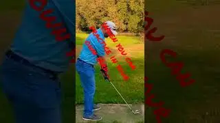 Golf Practice in the backyard with birdie balls. #golf #titleist #birdieballs