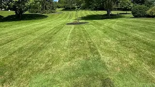 Crispy lawn lines are the best