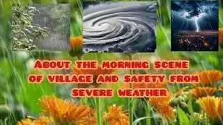 About the morning scene of the village and safety from severe weather like thunderstorm,heavy rain.