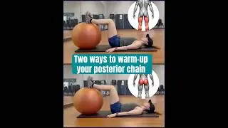Posterior Chain Warm-Up Routine 🔥 | Activate Your Glutes & Hamstrings Before You Lift #posterior