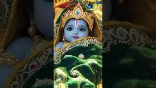 Kalia Asichi mu monj babu ghara ku Namkaran utsav#odia #song ongs