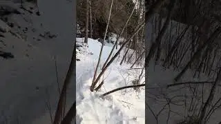Sentier du Saguenay 