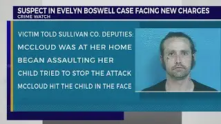 William McCloud arrested on domestic assault, child abuse charges