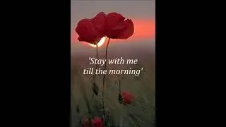 Stay with me till the morning (Mozart/Parker) - Duet