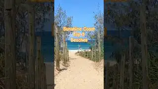 🏖️ Sunshine Coast Top 5 Beaches #sunshinecoast #noosa #mooloolaba #maroochydore #coolum #queensland