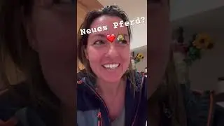 Neues Pferd? #pferd #horse #reiten #equestrian #pony #pferde #stall
