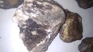 Those Rock Are Skull!  ☠️