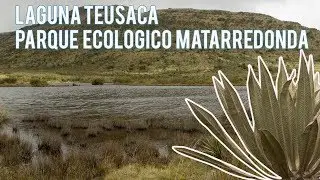 PARQUE ECOL&Oacute;GICO MATARREDONDA. LAGUNA TEUSAC&Aacute;