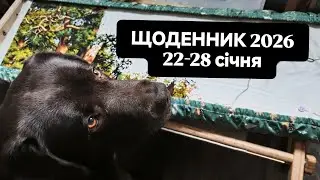Гай, шкарпетка, сніговичок