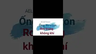 Newton tube: Freefall in air and vacuum