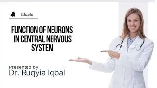 Function of Cerebrum in human brain| Neurons and their function| Central Nervous System #science