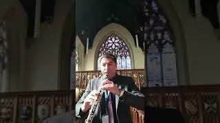 J.S.Bach-Arioso BWV156, George Talmaciu-Oboe,MS Accompaniments YouTube
