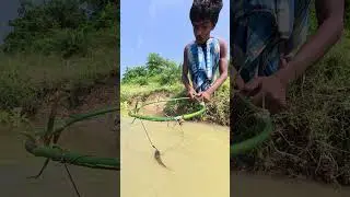 Made a simple fishing trap using bamboo sticks and used small cheng fish ↗️ #indonesiafishing
