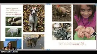 Hello Autumn! by Shelley Rotner Read Aloud
