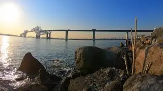 Let's go see Tokyo Gate Bridge - 4K60fps