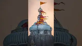 Puri jagannath🙏 temple  .... Jay jagannaath status video ✨🙏 #india #travel #status #puri #jagannath