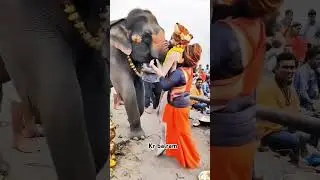 Alakh Niranjan Song with Aghori Sadhu Chanchal Nath & Naga Sadhu  Divine Spiritual Journey #song   K
