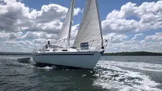Mottle 33 Cruising Yacht - Walkthrough