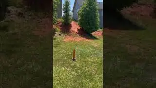 Jester rocket 🤡