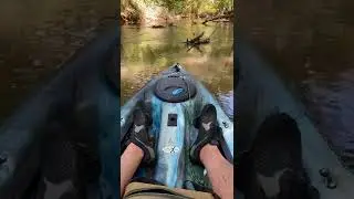 Kayaking the river !