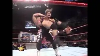 Pendulum Backbreaker- Bret Hart