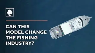 Модель устойчивого рыболовства, которая может разрушить мировую индустрию морепродуктов