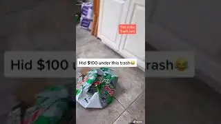 Trash Pick up Challenge😂😂