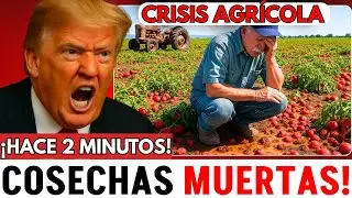 Crisis agr&iacute;cola en EE.UU.: 7 cultivos se pierden y los granjeros lloran por las p&eacute;rdidas
