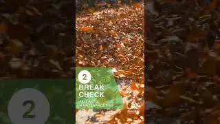 Fall Car Maintenance: 12 Tips to Keep Your Car Running Smoothly and Safely
