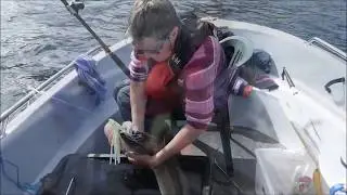 Dalsfjord 2017