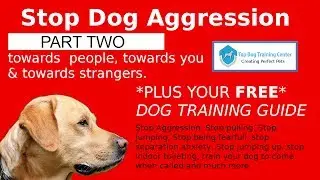Stop Dog Aggression Towards People-Visitors-Strangers-Cars-More