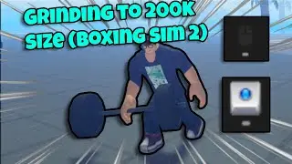 Grinding to 200k size in roblox (boxing sim 2)