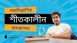 গবাদিপ্রাণির শীতকালীন ব্যবস্থাপনা | Winter Management of Livestock | It's me, Ariful Islam