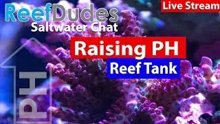 Raising PH in the Reef Tank - ReefDudes Saltwater chat Livestream!
