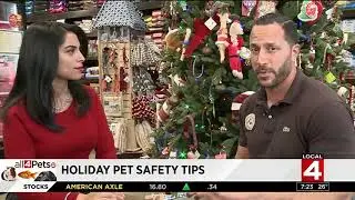 Tips to keep your pet safe this holiday season