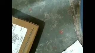 Xolo era 2x quick unboxing