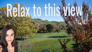 Hiddenbrooke Home for Rent | 6285 Newhaven Ln, Hiddenbrooke,  Vallejo, Vallejo Rentals,