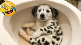 You Laugh You Restart 🐕‍🦺 Funniest Cats and Dogs 2026 🤣 💘 Part 8