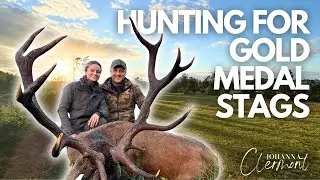 3 Medal Stags - Rut Time in Poland | Johanna Clermont